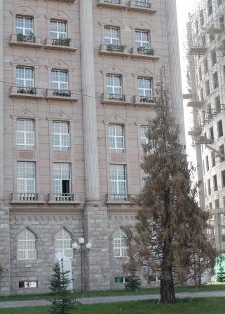 (АКС) Сиквоҳои шинондаи президент дар Душанбе хушк шудаанд
