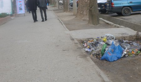 Гузориши тасвирӣ: Партовгоҳҳои қади роҳ дар Душанбе