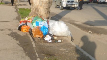 Гузориши тасвирӣ: Партовгоҳҳои қади роҳ дар Душанбе