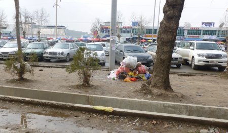 Гузориши тасвирӣ: Партовгоҳҳои қади роҳ дар Душанбе