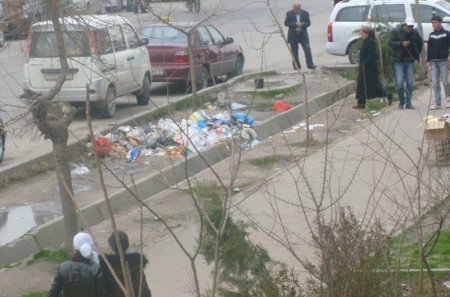 Гузориши тасвирӣ: Партовгоҳҳои қади роҳ дар Душанбе