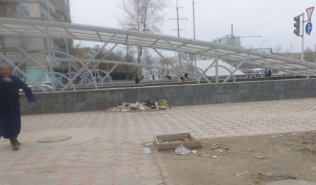 Гузориши тасвирӣ: Партовгоҳҳои қади роҳ дар Душанбе