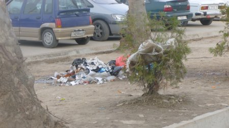 Гузориши тасвирӣ: Партовгоҳҳои қади роҳ дар Душанбе