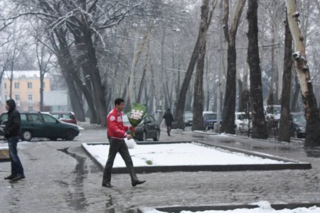 Гузориши тасвирӣ: Таҷлил аз "Рӯзи модар" дар Тоҷикистон