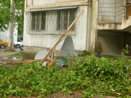 Харобкориҳои шамоли сахт дар пойтахти Тоҷикистон (АКС)