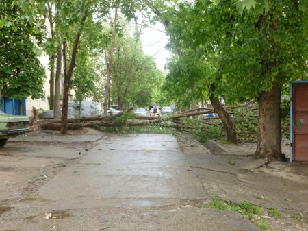 Харобкориҳои шамоли сахт дар пойтахти Тоҷикистон (АКС)