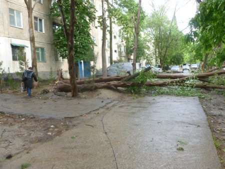 Харобкориҳои шамоли сахт дар пойтахти Тоҷикистон (АКС)