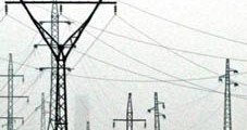 Шуҷоуддин Зиёӣ мақомоти тоҷику туркманро беэътино гуфт