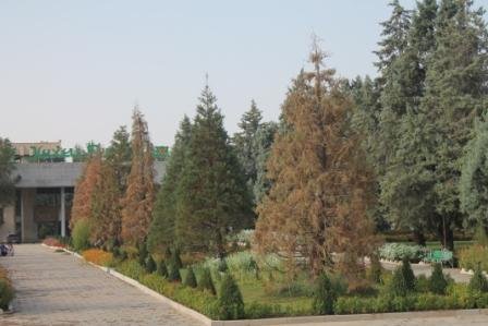 (АКС) Сиквоҳои шинондаи президент дар Душанбе хушк шудаанд