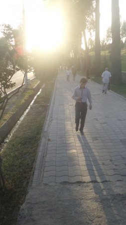 АКС: Идомаи нороҳатиҳо аз тадобири амниятӣ дар Душанбе