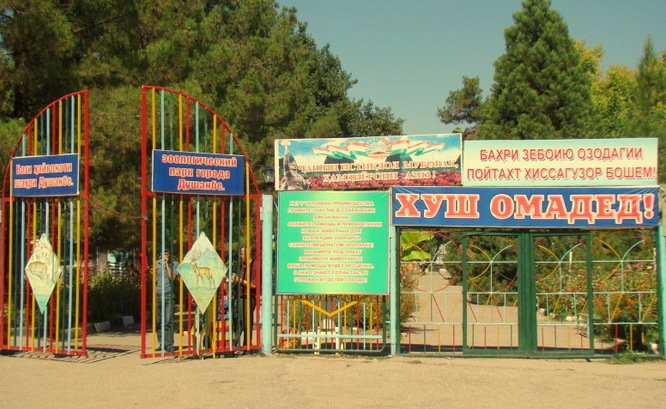 Боғи ҳайвоноти Душанбе кӯчонда мешавад