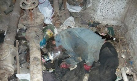 Куштори боз як “бомж” дар Душанбе: Гумонбар дастгир шуд