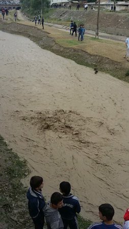 Ҳалокати хоҳарон Маряму Хайриниссо дар чарогоҳи Рӯдакӣ (АКС)