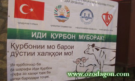(АКС) 300 гови қурбонии Туркия барои ниёзмандони Тоҷикистон