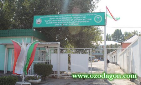 АКС+ВИДЕО: Шаҳбол Мирзоев дар бораи латту кӯб ва орзуи кор дар Хадамоти гумрук