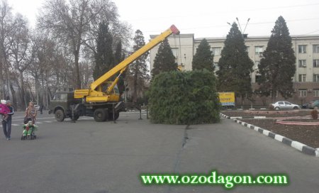АКС: Насби арчаи 25-метрӣ дар Душанбе