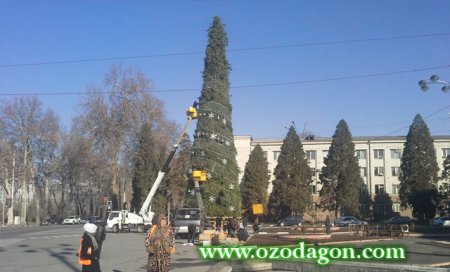 АКС: Насби арчаи 25-метрӣ дар Душанбе