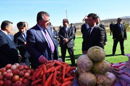 Э.Раҳмон бо писараш дар боғи Пешвои Миллат ниҳоли себ шинонданд (АКС)