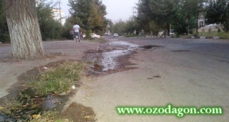 АКС: Партовҳои сари роҳ дар Хуҷанд...