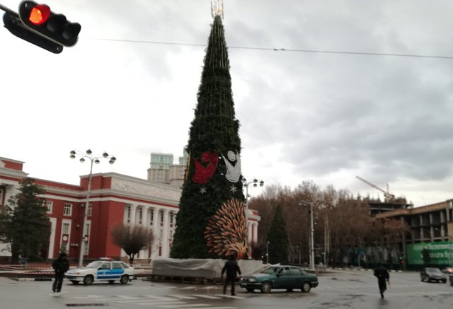 Фатвои Шӯрои уламо дар бораи арча ва тӯҳфаҳои солинавӣ