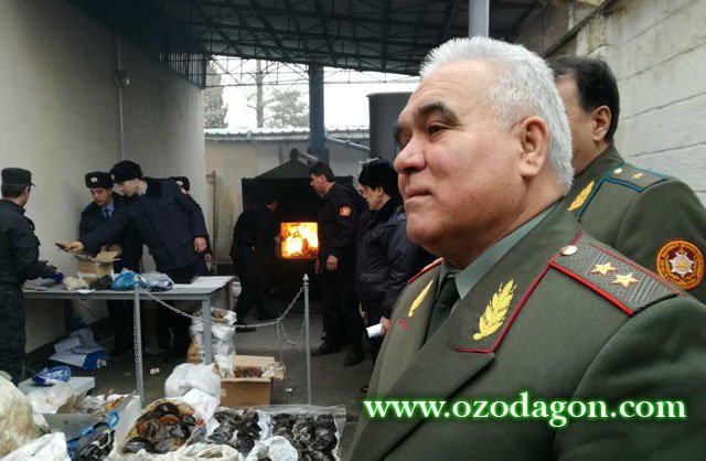Салимзода пуштибонии мақомоти тоҷикро аз мафия бофта хонд