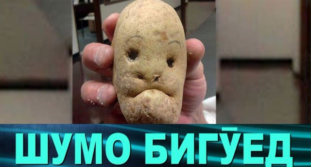 Ҳама аз картошка мегӯяд, ШУМО ҳам БИГӮЕД